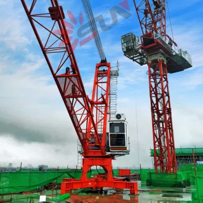 Sun Qtdc3023 Carga Máxima 10ton Derrick Crane para desmontar guindaste de torre